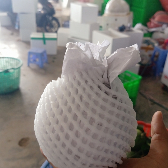 VÚ SỮA